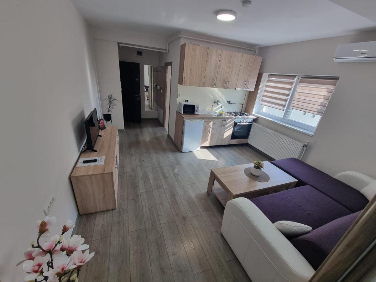 City Premium Apartments Timişoara Eksteriør billede
