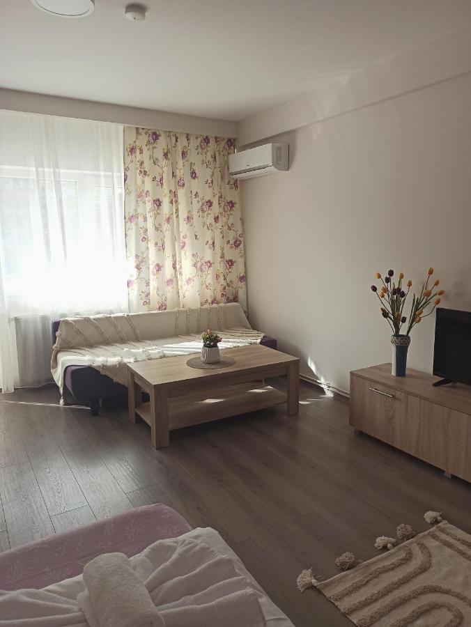 City Premium Apartments Timişoara Eksteriør billede