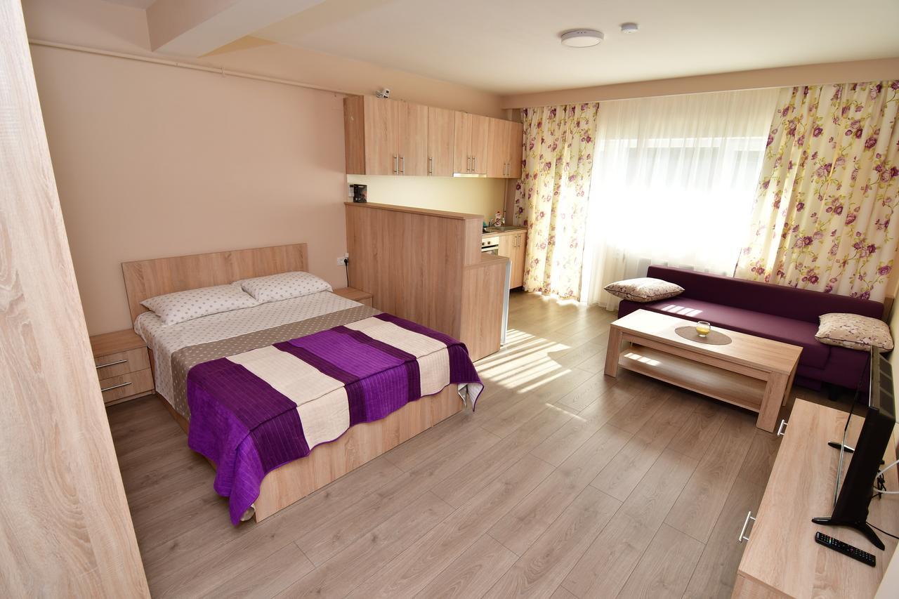 City Premium Apartments Timişoara Eksteriør billede